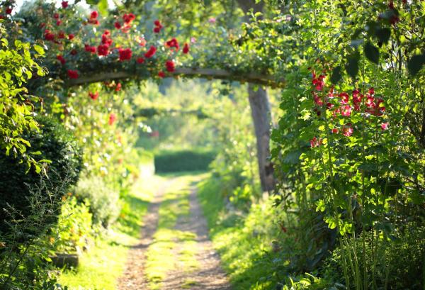 Création de jardin à Auvers